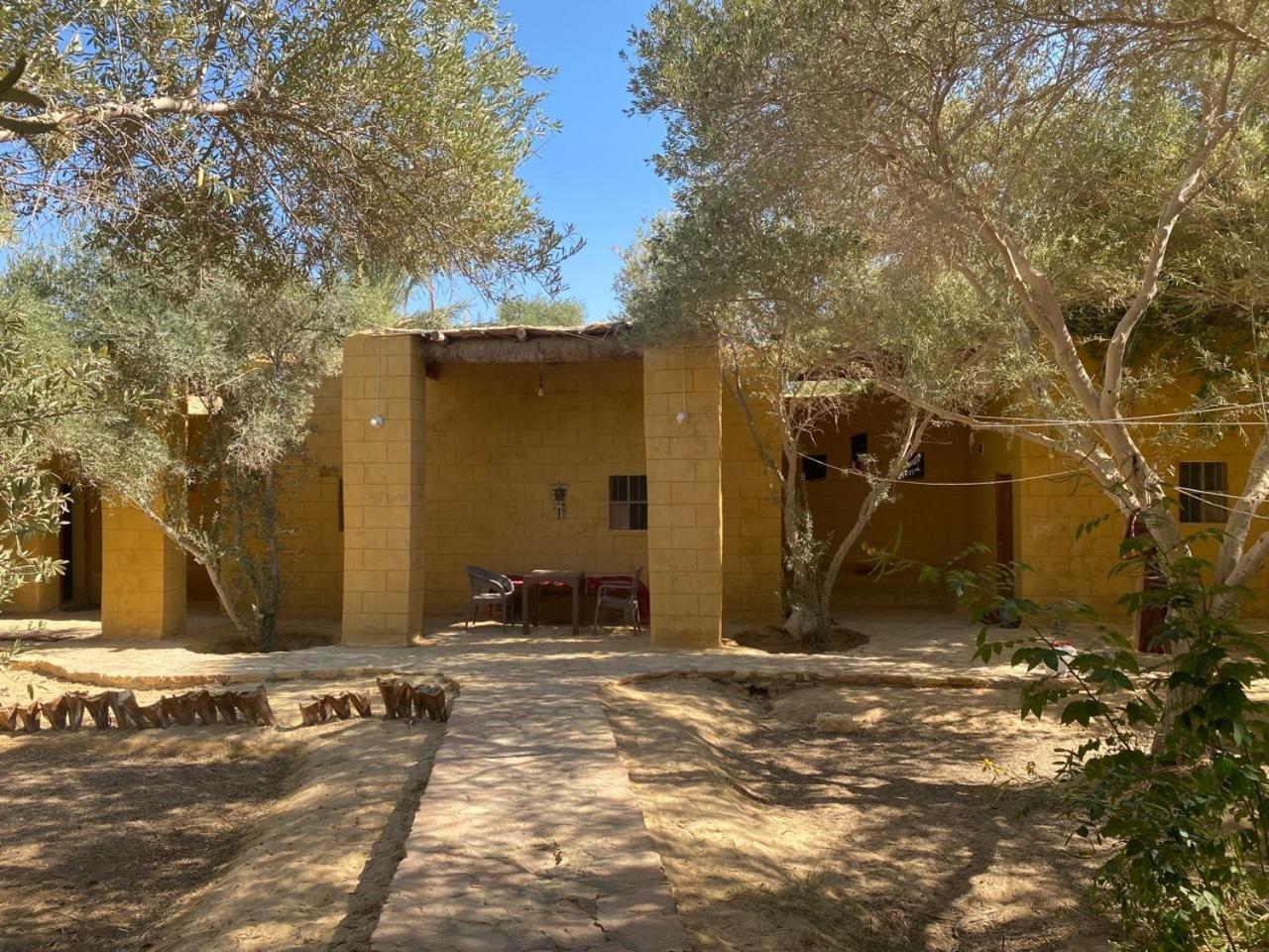 Fada Morgana Hotel Siwa Oasis ภายนอก รูปภาพ